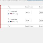 Add country code in Translation text boxes.jpg