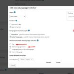 Edit menu language switcher 2.jpg