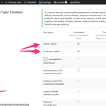 Cursor_and_Settings_‹_bioefekts_lv_—_WordPress.png