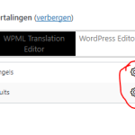 WPML-Translation-Editor-PP.PNG