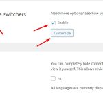 Custom lang switcher button.jpg