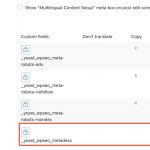 WPML_wpseo_metadesc.png