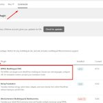 WPML Multilingual CMS plugin.jpg