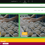 Screenshot 2025-04-21 162450.png