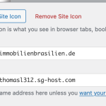 General-Settings-‹-Developments-Brazil-—-WordPress.png