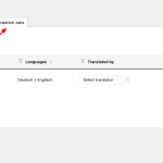Translation-Management-‹-Musikverein-Wien-—-WordPress.png