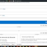 16989210-screanshot_WPML.jpg screanshot-WPML.jpg