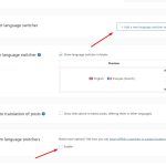 Widget and custom language switchers.jpg