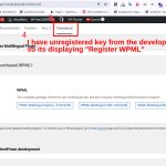 wpml key seetings for dev server.jpeg