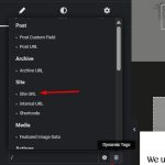 Site URL option.jpg