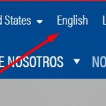 language switcher 2.jpg