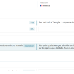 Traduzione missing URL WPML.png