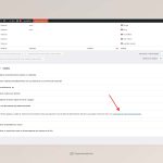 Traducci_n de cadenas _ Cirion Technologies _ WordPress.jpeg
