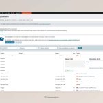 Traducci_n de cadenas _ Cirion Technologies _ WordPress · 3.46pm · 05-08 (1).jpeg