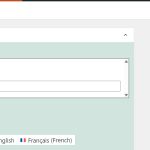 Display on languages option.jpg