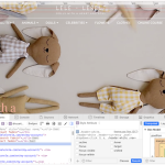 header.png
