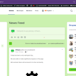 NEEWS FEED SP.png