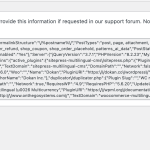 Debug-information-‹-wcml-3433-—-WordPress.png