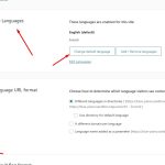 Change default language.jpg