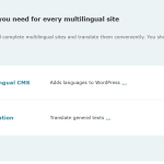 Screenshot 2025-05-22 at 14-00-37 Downloads - WPML.png