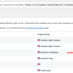 WooCommerce-Multilingual-Multicurrency-‹-Sirius-—-WordPress.png
