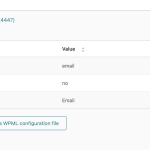 String-Translation-‹-Wellness-—-WordPress.png