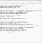 debug.png