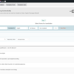 Screenshot 2025-06-12 at 14-56-40 Translation Management ‹ Heartpace — WordPress.png