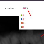 language switcher design.jpg