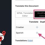 WPML Translate.jpeg