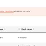 WPML_Issue.png