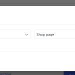 condition_shop_page.png