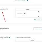 Edit language switcher settings 2.jpg