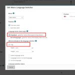 Menu lang switcher settings.jpg