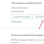 Site languages.jpg