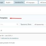 Divi footer template - Edit link.jpg