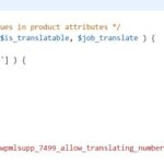 Functions.php for WPML.jpg