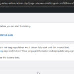 wpml-is-missing-records.jpg