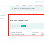 Manage-credits-for-Automatic-Translation-WPML-07-03-2025_05_05_PM.png