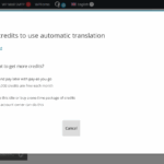 Translation-Management-‹-Junior-Salon-—-WordPress-07-03-2025_05_05_PM.png