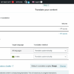 Translation-Management-‹-Junior-Salon-—-WordPress-07-03-2025_05_05_PM (1).png