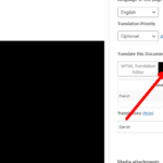 editor disabled.png