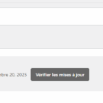 Capture d’écran 2025-07-09 085644.png
