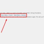 Menu Custom Links translation.jpg