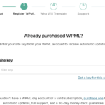 Monosnap WPML Setup ‹ Sandbox — WordPress 2025-07-20 16-13-34.png