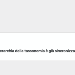 Screenshot 2025-07-21 alle 11.13.30.png