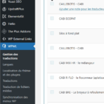 impossible-de-traduire-automatiquement-les-PRODUITS.png