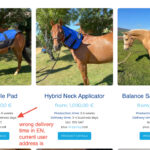 Screenshot 2025-07-25 at 2.00.32 PM copy.jpg