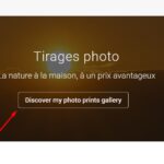 17299544-Untranslate_button_1.jpg Untranslate button 1.jpg