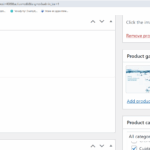 Gallery Spanish.png